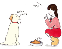 しつけ