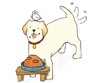 食餌