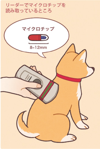 ペットと防災