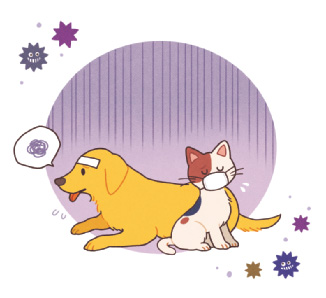 ペットと防災