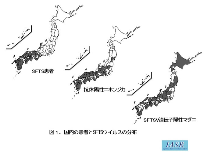 マダニ予防を忘れずに