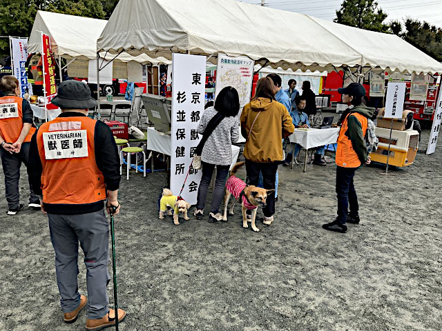 杉並区総合震災訓練